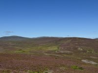 IMG_1597.jpg