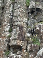 IMG_0436.jpeg