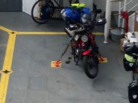 1000008634.jpg
