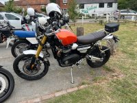 IMG_9732.jpeg