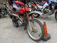 IMG_9674.jpeg