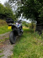 IMG_3340.jpeg