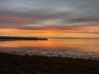 IMG_7177.jpeg