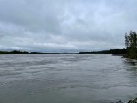 IMG_3970.jpg