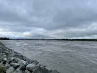 IMG_3971.jpg