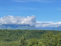 IMG_3976.jpg