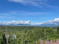 IMG_3977.jpg