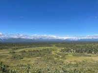 IMG_3987.jpg