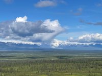 IMG_3995.jpg
