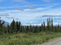 IMG_4033.jpg