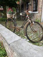IMG_0041.jpeg