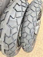 IMG_7173.jpeg