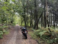 IMG_1661.jpeg
