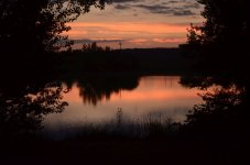 DSC_0017.jpg