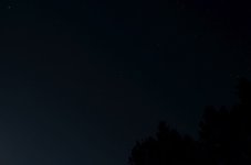 DSC_0028.jpg