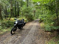 IMG_1665.jpeg