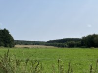 IMG_0115.jpeg