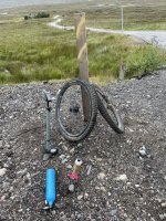 IMG_7724.jpeg IMG_7724.jpeg