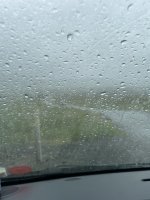 IMG_7719.jpeg IMG_7719.jpeg