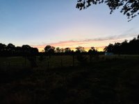 IMG_3901.jpeg
