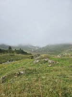 20240825_125139.jpg