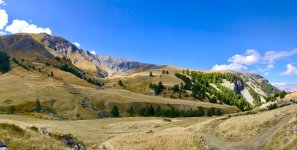 IMG_6885.jpeg