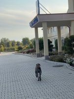 IMG_6886.jpeg