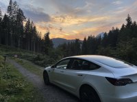 IMG_7034.jpeg