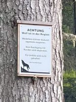 IMG_7015.jpeg