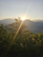 20240830_072956.jpg