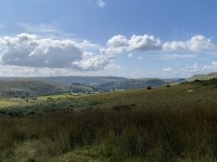 IMG_4614.jpeg