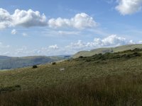 IMG_4615.jpeg