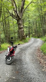 IMG_2813.jpg