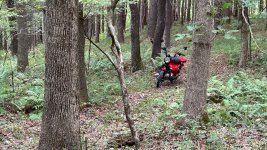 IMG_2814.jpg
