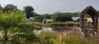 IMG_5457.jpeg