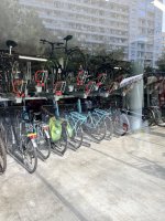 IMG_6810.jpeg