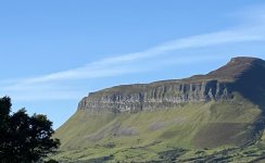 IMG_7446.jpeg