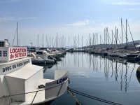 IMG_6886.jpeg