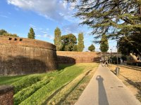 IMG_6960.jpeg