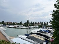 IMG_7018.jpeg