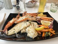 IMG_7024.jpeg