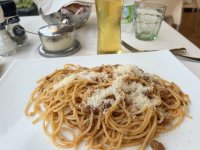 IMG_7023.jpeg