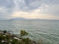 IMG_7022.jpeg