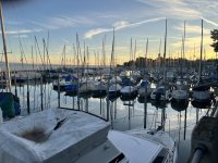IMG_7126.jpeg