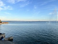 IMG_7125.jpeg