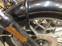 IMG_8178.jpeg