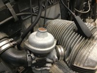 IMG_8176.jpeg