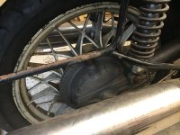 IMG_8174.jpeg