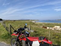 IMG_7476.jpeg