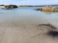 IMG_7481.jpeg